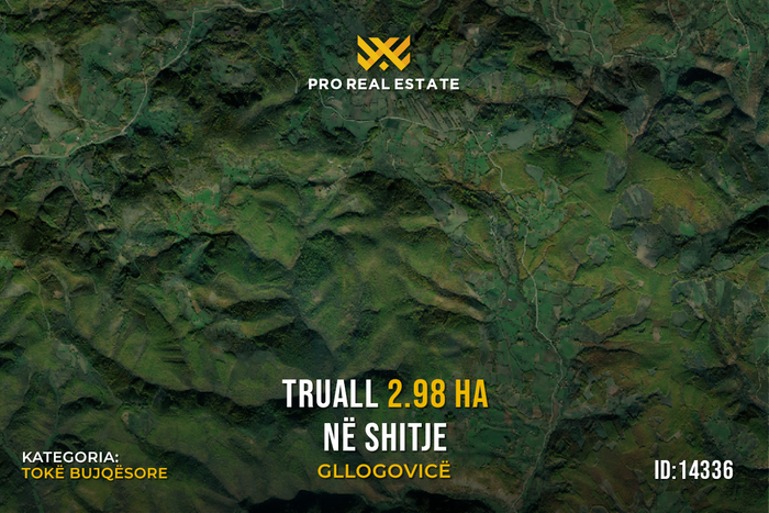 Terrain 2,98 ha à vendre à gllogovicë