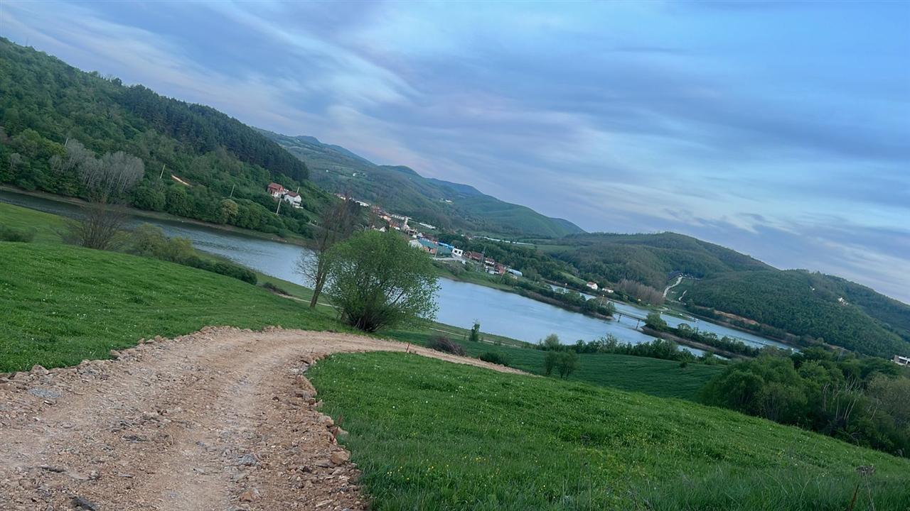 Shiten 10 ari truall në liqenin e batllavës në orllan