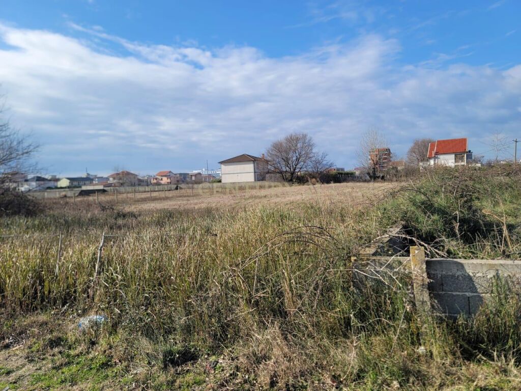Shitet toka ne plazhin e velipojes