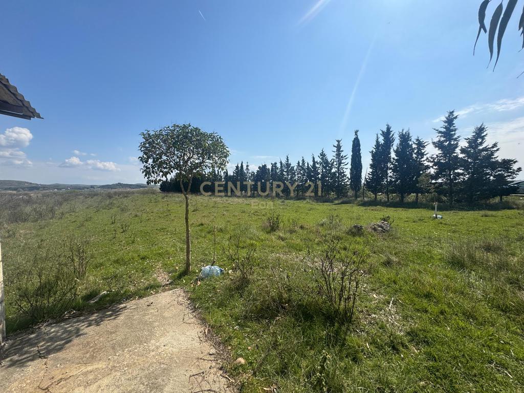 Shesim tokë në plazhin frosilukë - karpen, Kavajë!