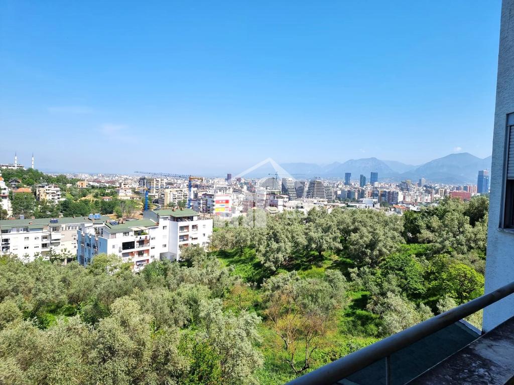 Prane parkut te liqenit (6)