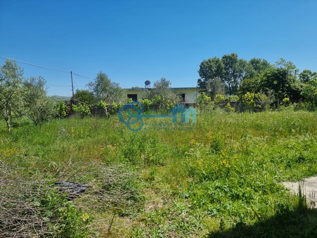 Casa privata in vendita a luz te madh, kavaje!