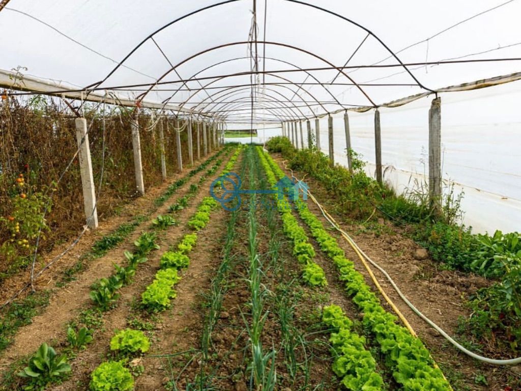 Farm for sale