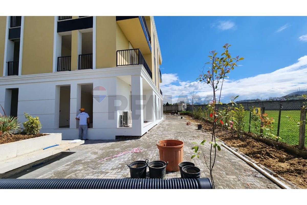 Sauk i vjetër, Tiranë