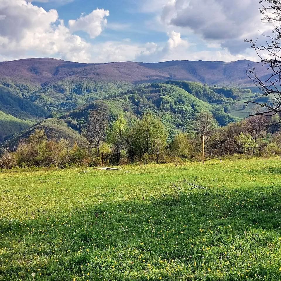Terrain à vendre à jezerc