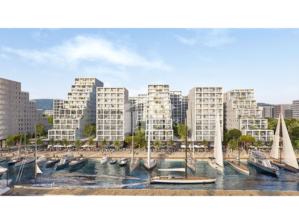 Vlora marina (4)