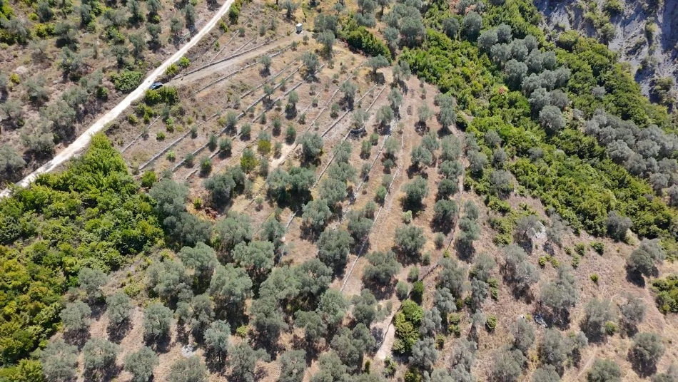 Venda | terreno / lote | petrelë | €300.000