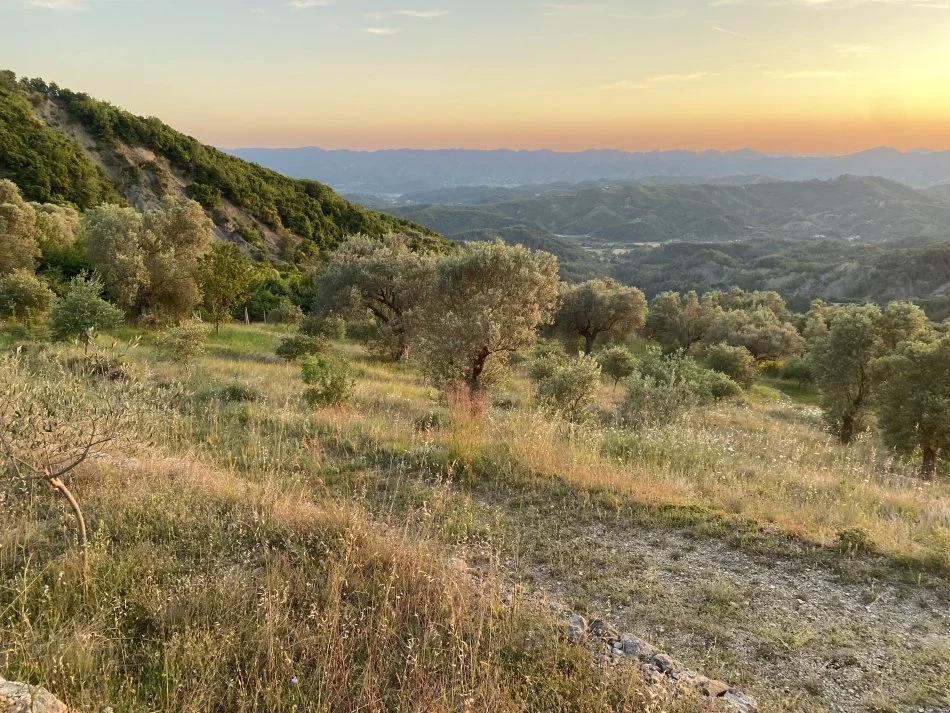 Venda | terreno / lote | petrelë | €300.000 (3)