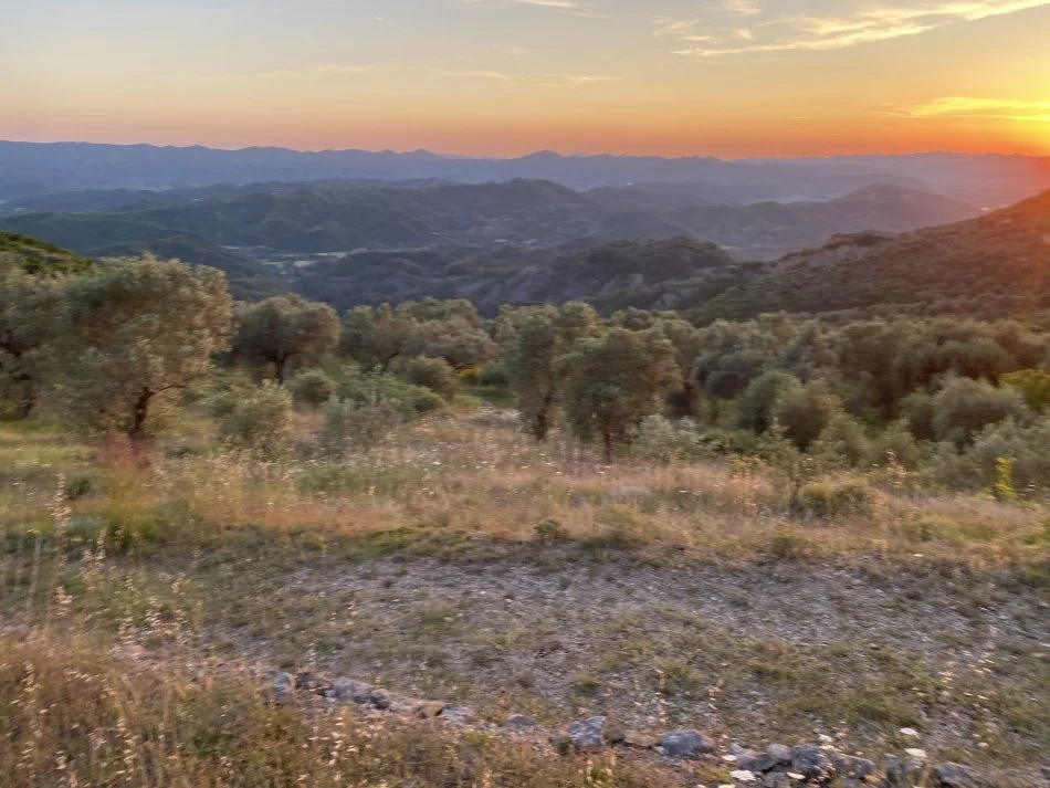 Venda | terreno / lote | petrelë | €300.000 (4)