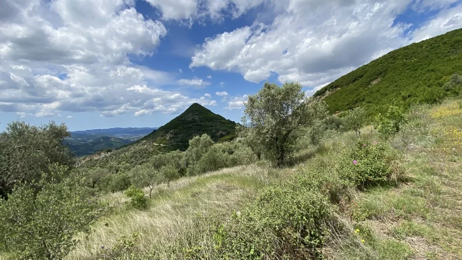 Venda | terreno / lote | petrelë | €300.000 (6)
