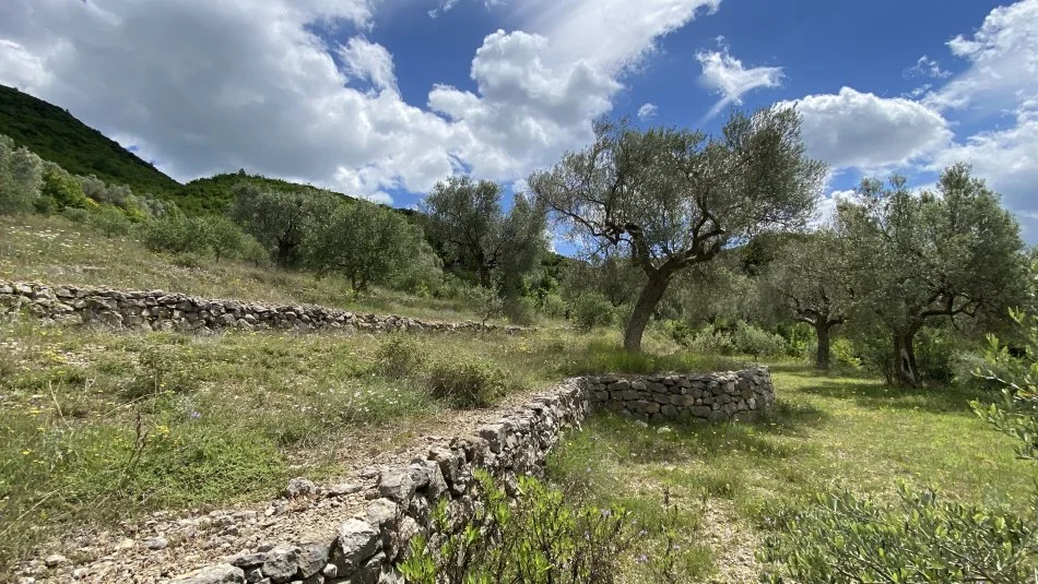 Venda | terreno / lote | petrelë | €300.000 (7)