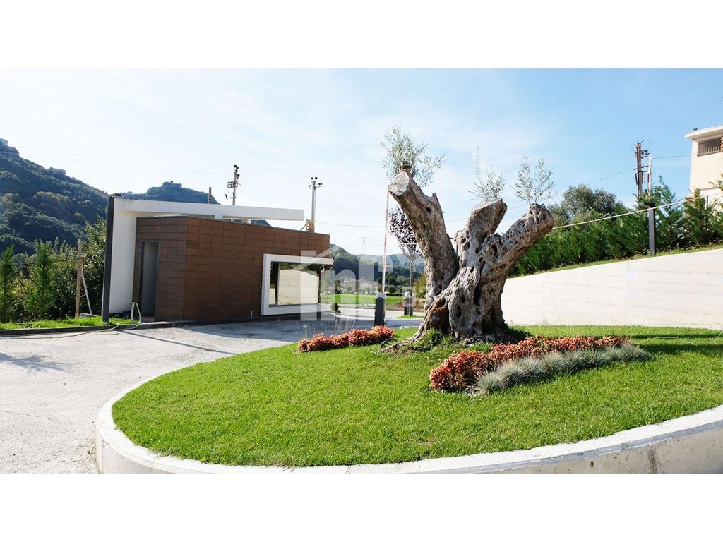 Residence “Olive Grove”, mullet