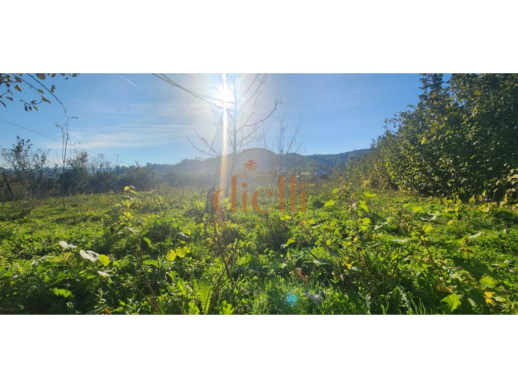 Land for sale in baldushkut area