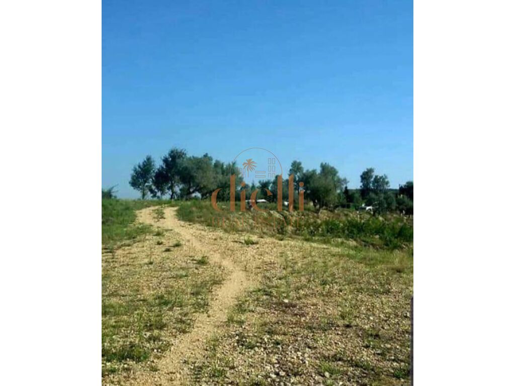 Terreno en venta en vore