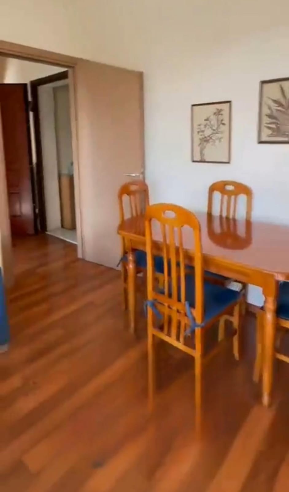 Alquiler | apartamento 1 + 1 | pazari i ri | 700 €/mes