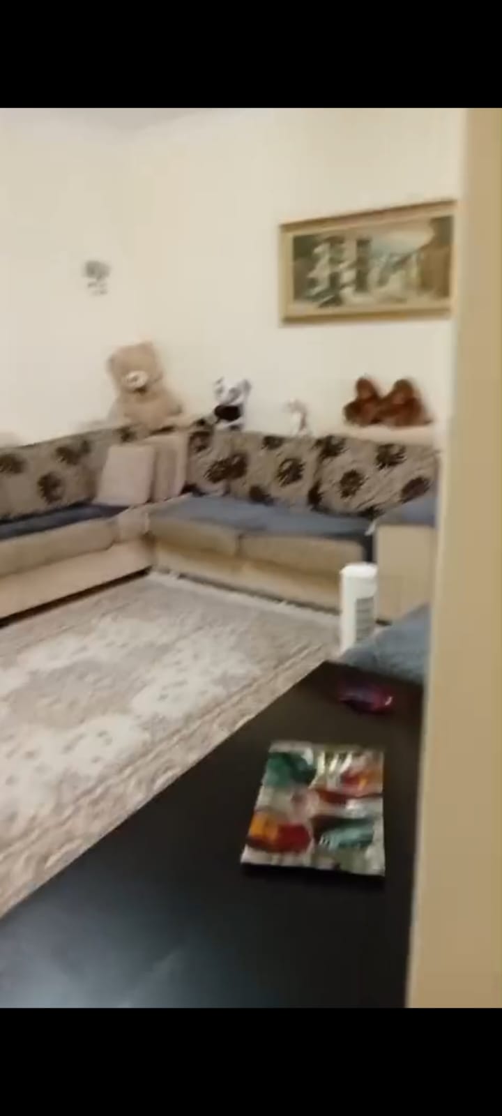 Alquiler | apartamento 2 + 1 | estadio dinamo | 600 €/mes