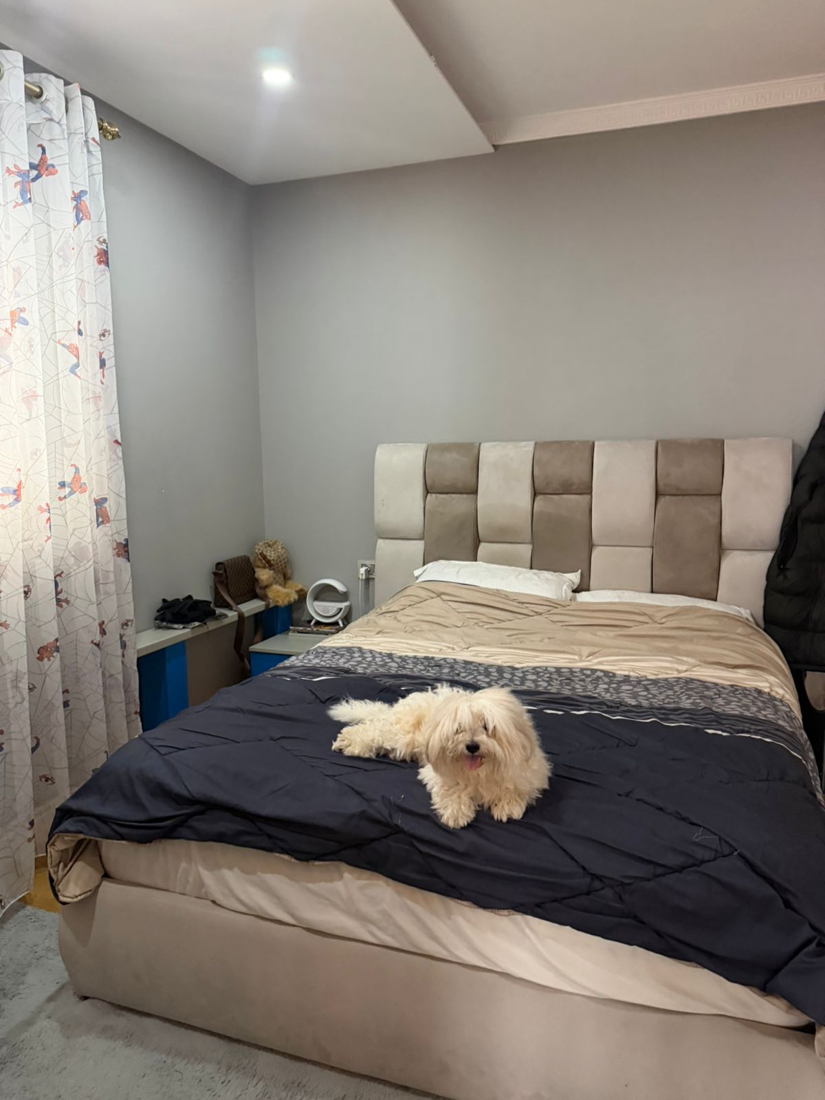 Venta | apartamento 3 + 1 | Komuna e Parisit | €300,000 (7)