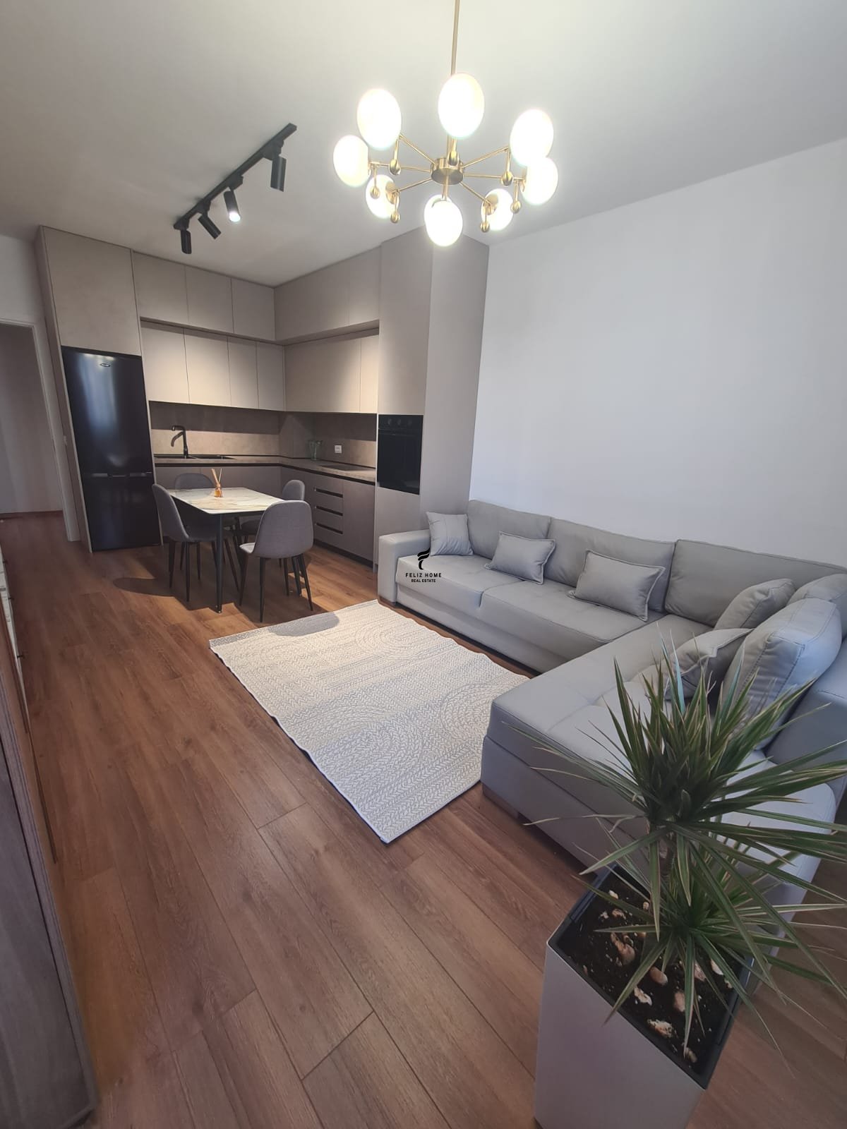 Appartamento in affitto 1+1 via dell'elbasanit 70.000 leke