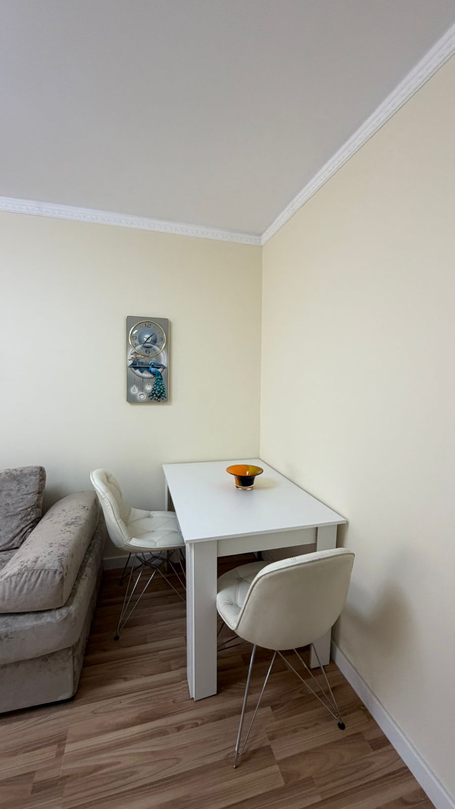 Affitto | appartamento 1 + 1 | stadio dinamo | 550 €/mese (2)