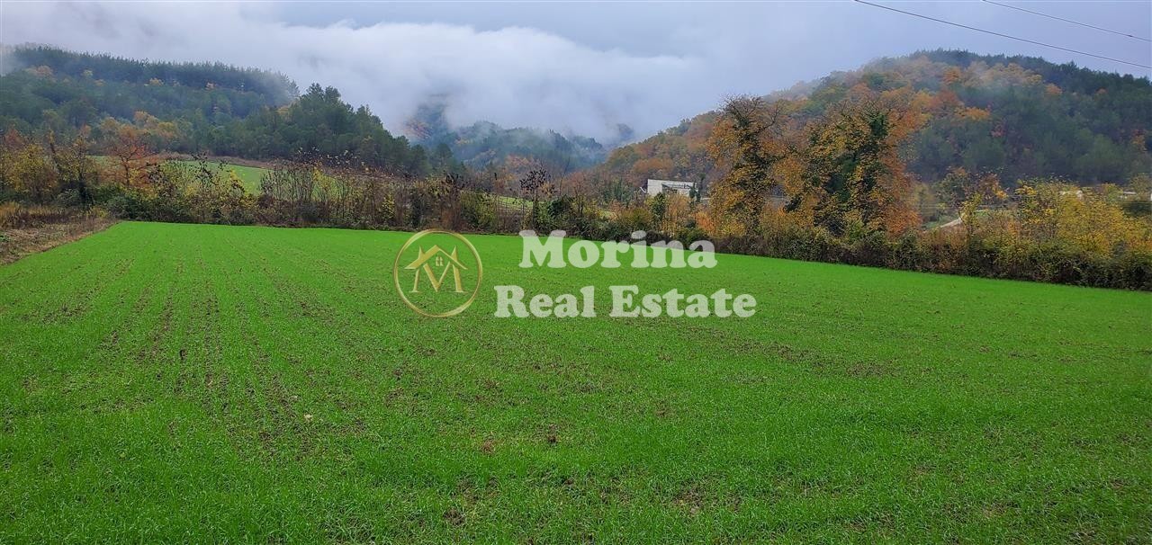 Venda | terreno / lote | petrelë | €315.000