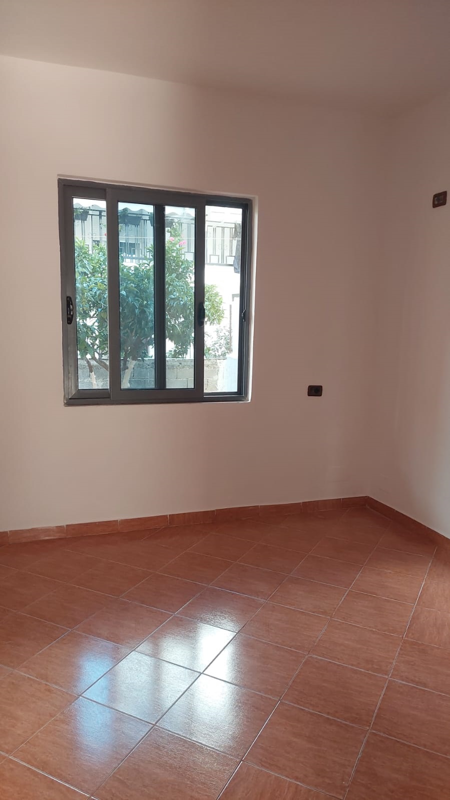 Aluguel | casa privada 2 + 1 | allias | €450/mês (2)