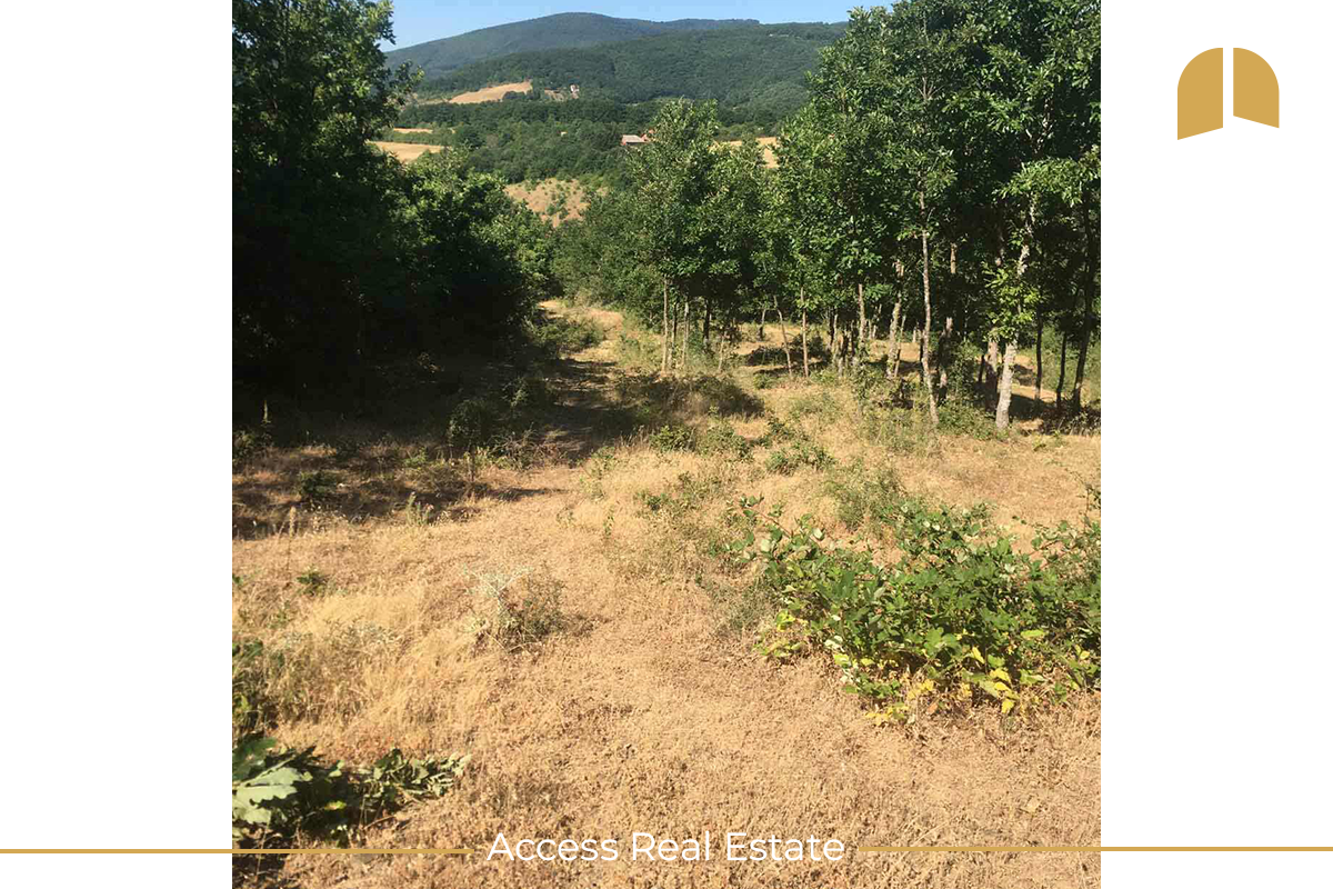 2 parcelles à vendre avec actes de propriété 5,96 ari et 6,57 ari – Mramor (5)