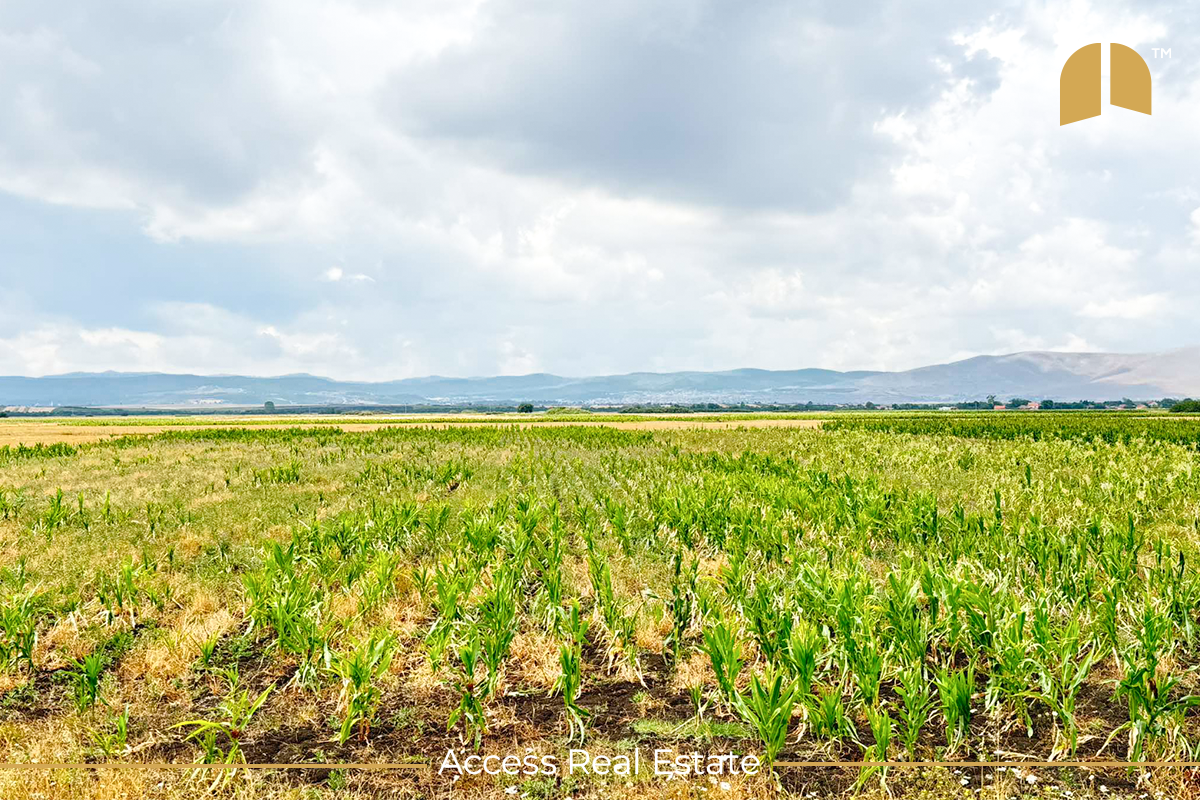Terreno en venta con escrituras – 141.85 ari – Suhadoll