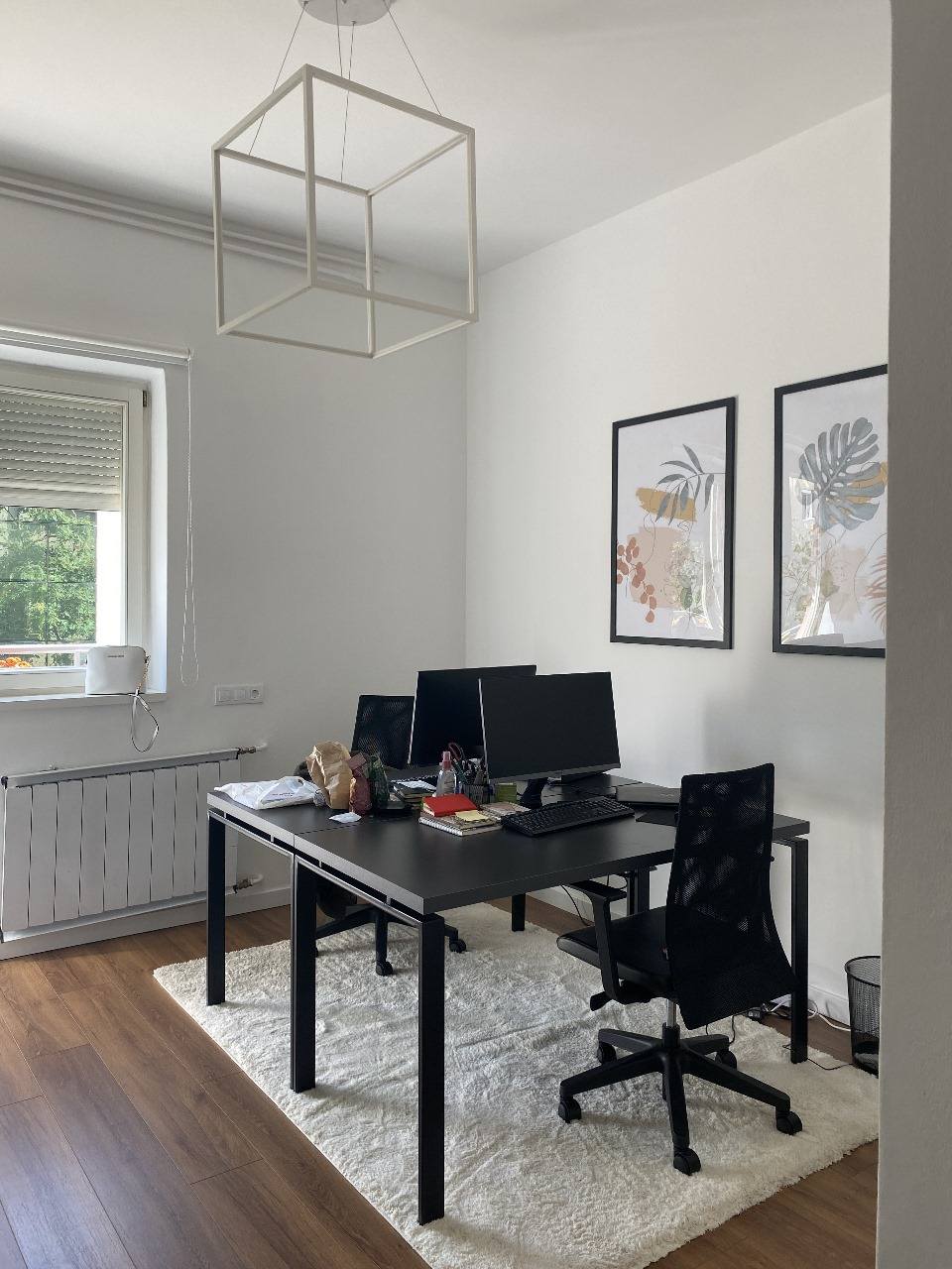 Wohnung (büro) zur miete im stadtzentrum (7)