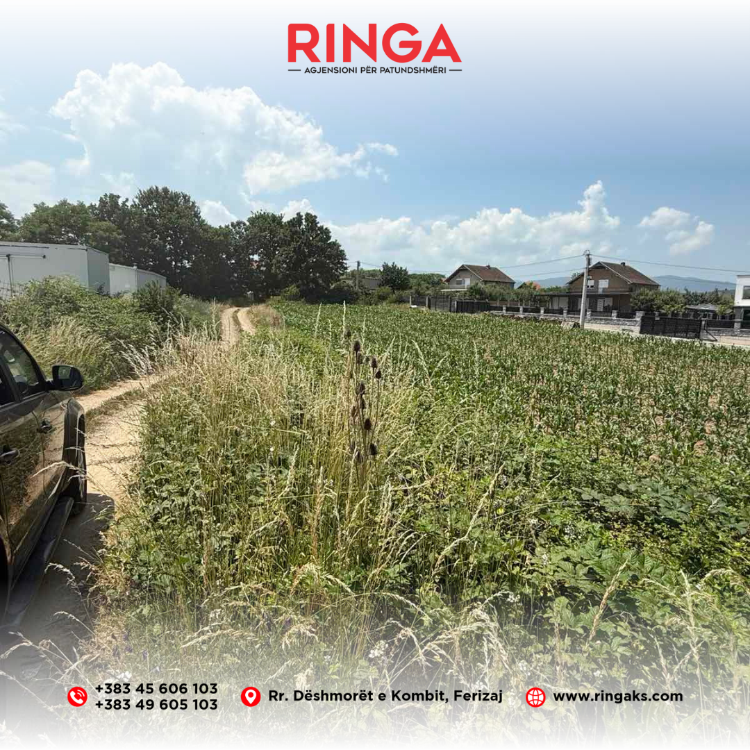 Ringa (grundstück zu verkaufen in slivove) 04/25 (2)