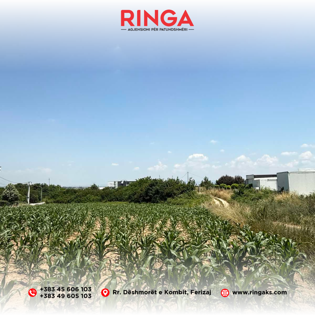 Ringa (grundstück zu verkaufen in slivove) 04/25 (5)