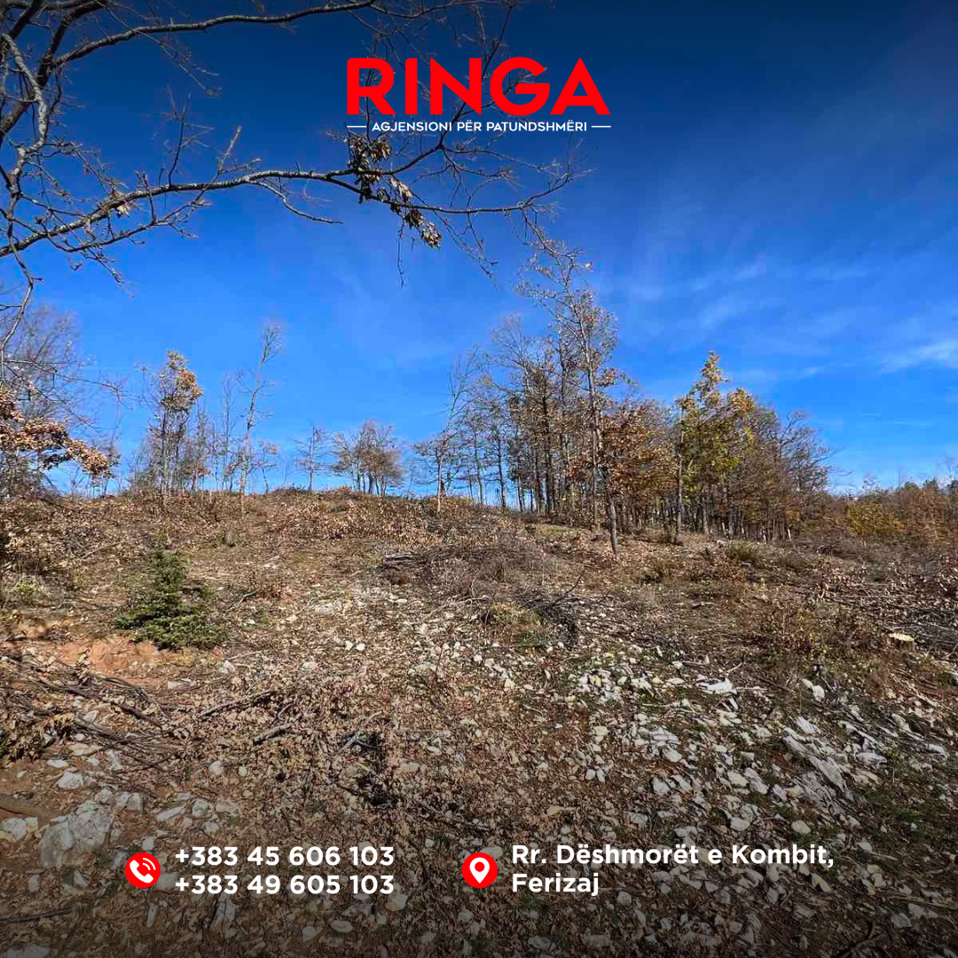 Ringa (grundstück zum verkauf – Jezerc) 15/24