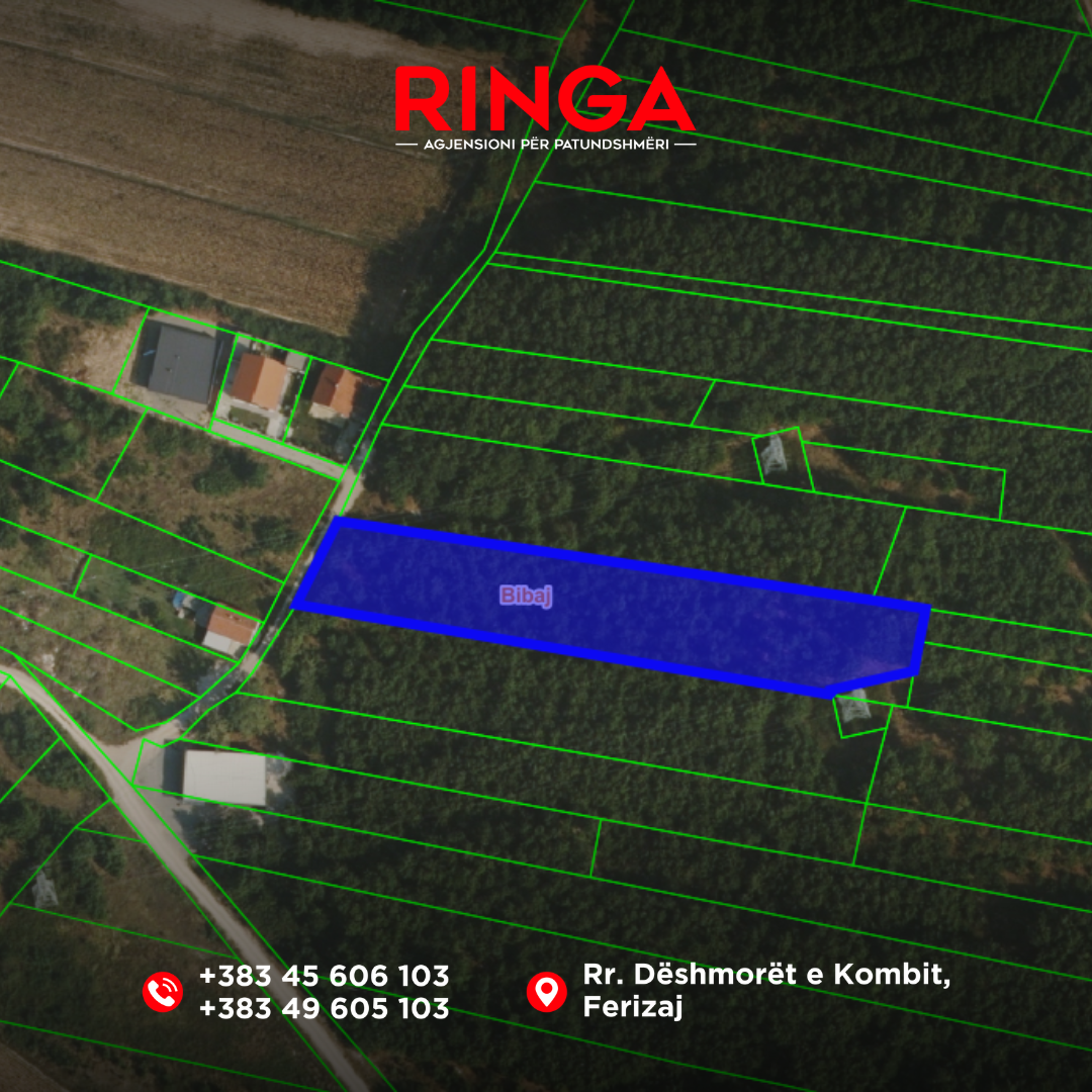 Ringa (shitet tokë në bibaj)25/26 (2)