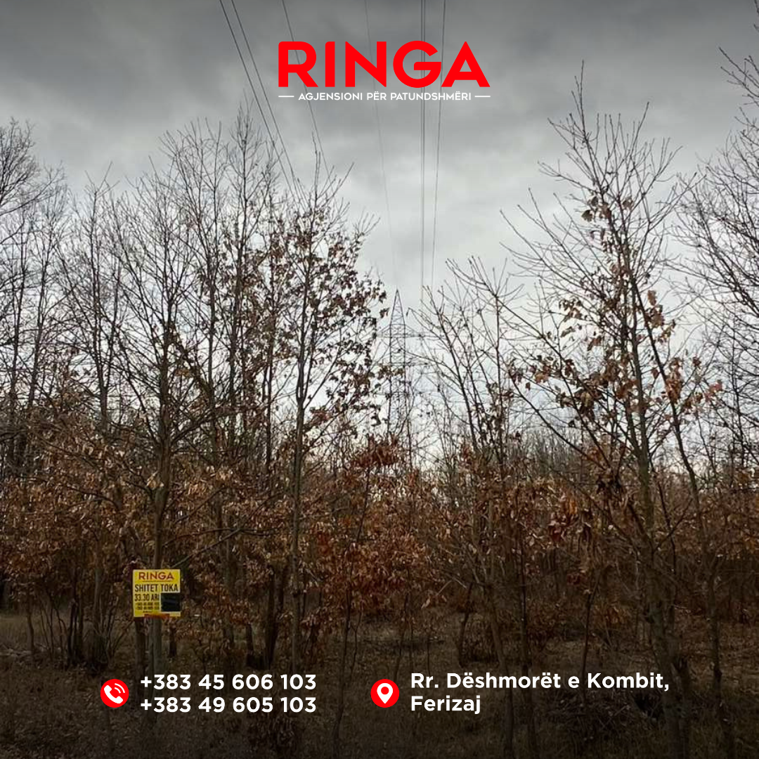 Ringa (shitet tokë në bibaj)25/26 (3)