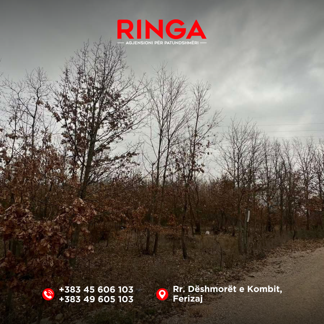 Ringa (shitet tokë në bibaj)25/26 (4)