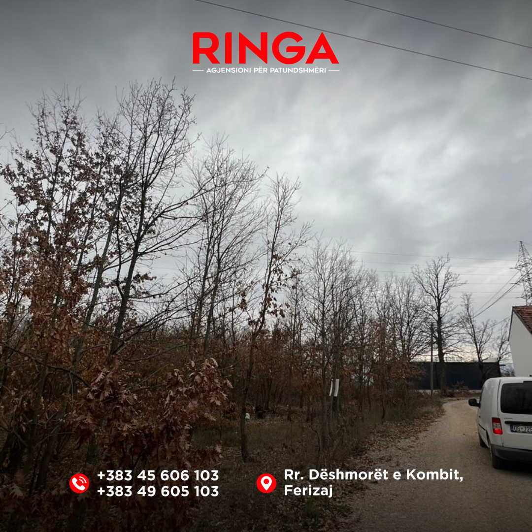 Ringa (shitet tokë në bibaj)25/26 (5)