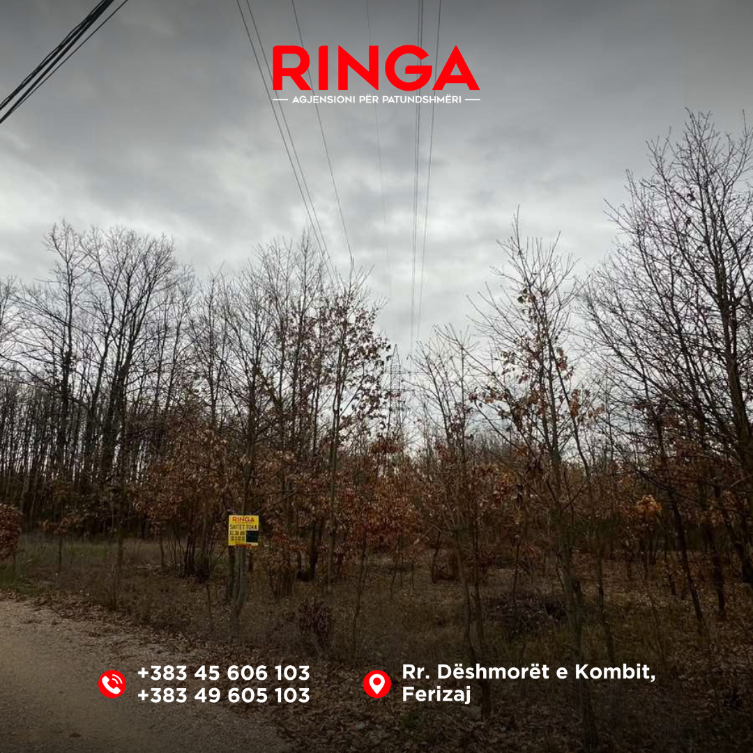 Ringa (shitet tokë në bibaj)25/26 (6)