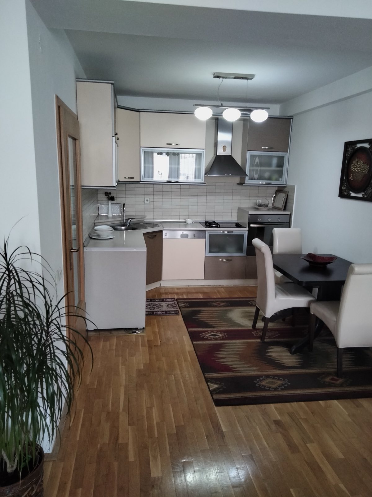 Appartamento 2+1 in affitto a Bregu i Diellit