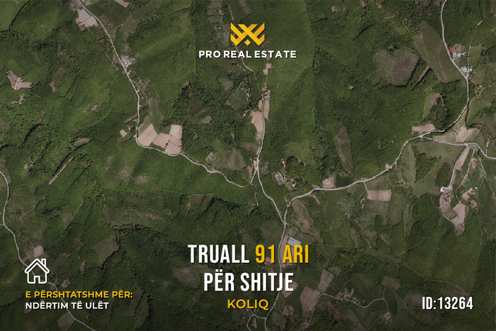 Terrain de 91 ari pour vente à koliq