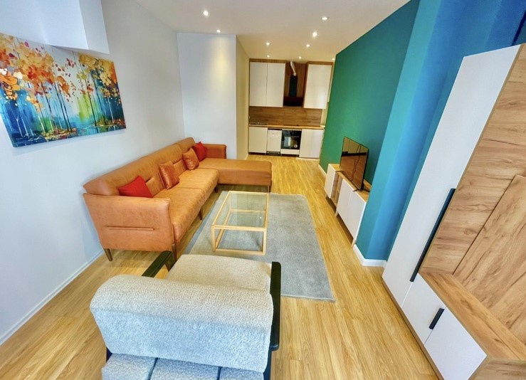 Appartement 1+1 à louer à Bregu i Diellit