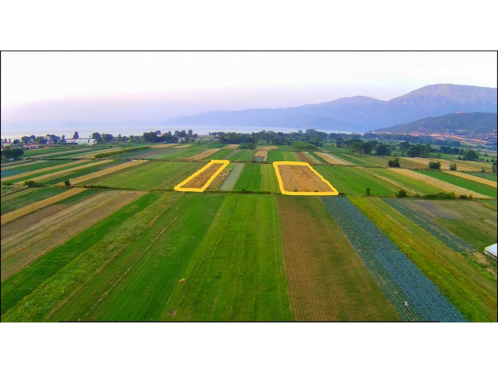 Terra 3147 m² à venda em Pogradec !!!