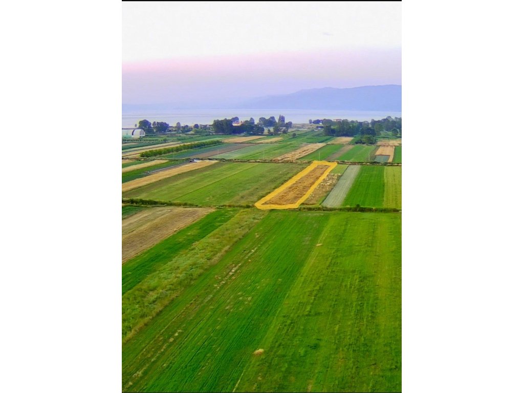 Terra 3147 m² à venda em Pogradec !!!
