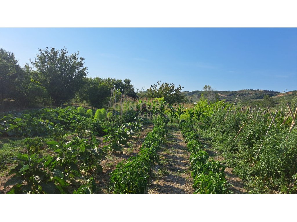 Venta de 3 edificios residenciales y terreno en spille-kavaje!