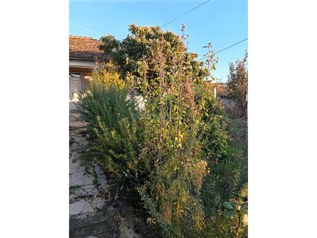 Villa à vendre à shijak !!