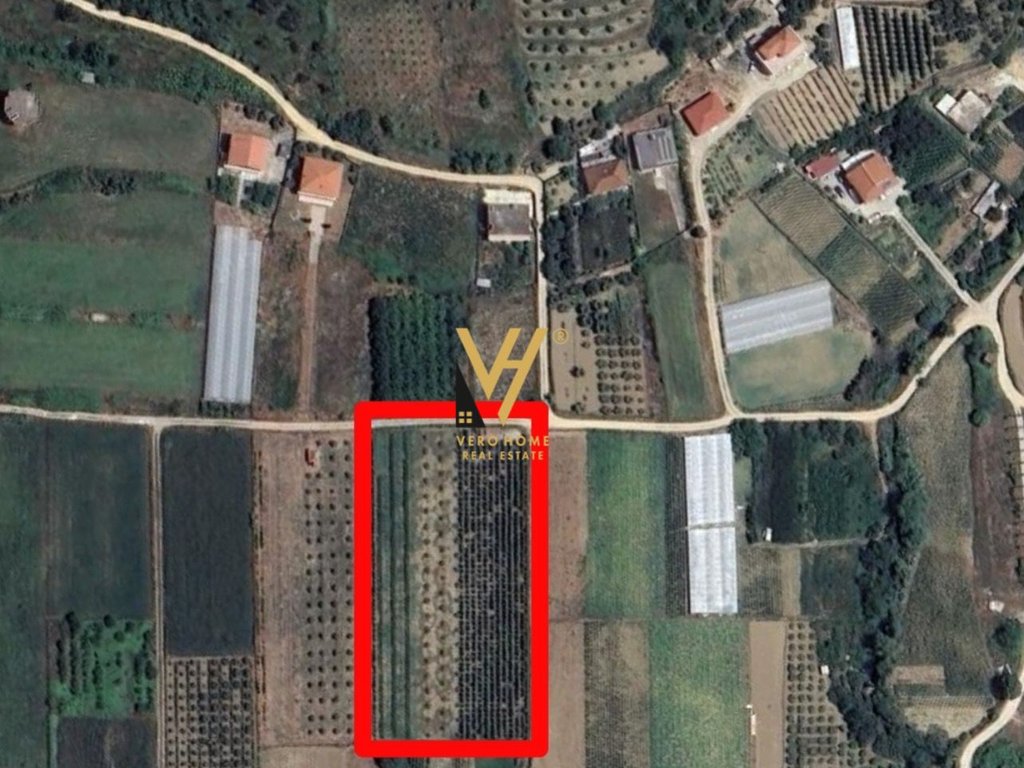Terreno à venda em kashar 12.300 m² (2)