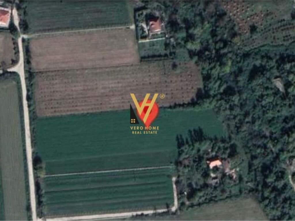 Terreno in vendita a rinas 10.000 metri quadrati (2)