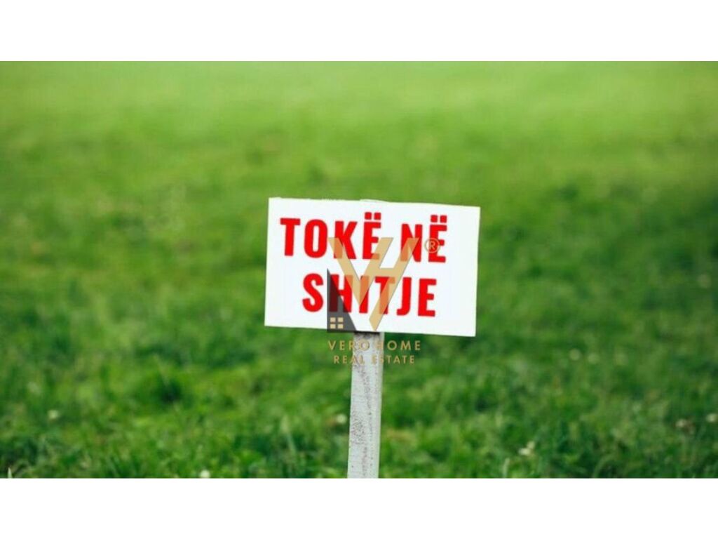 Terreno in vendita alla rotonda ibes, 6000 metri quadrati (3)