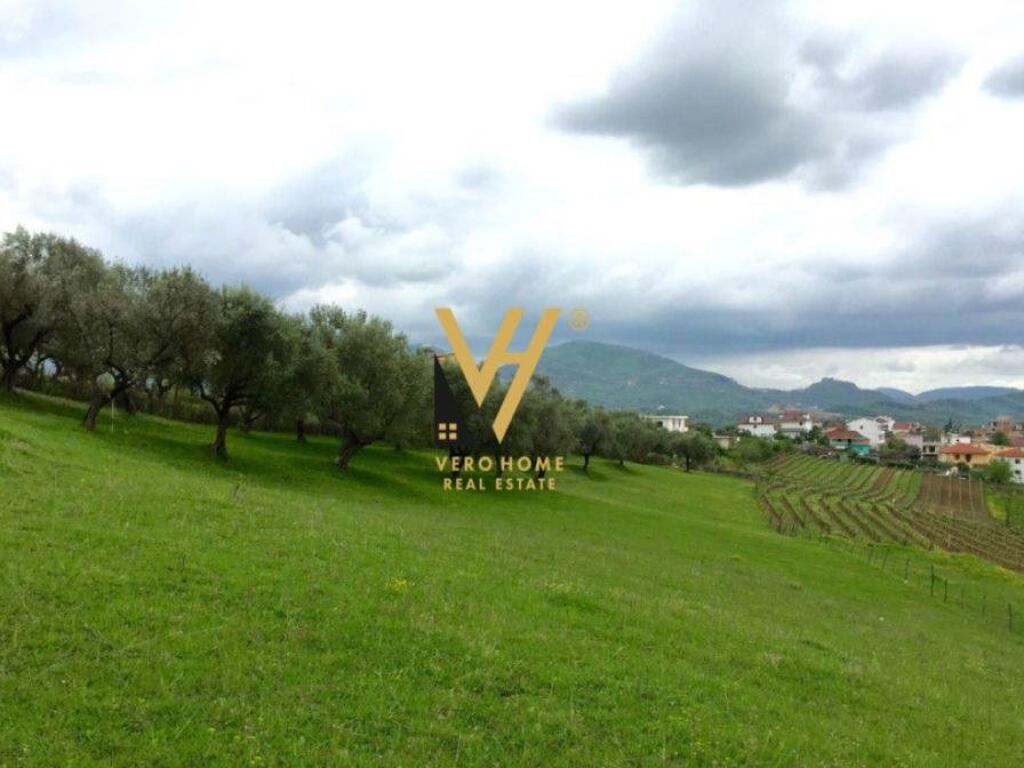Land for sale 3,500 m² in shkoze near ures