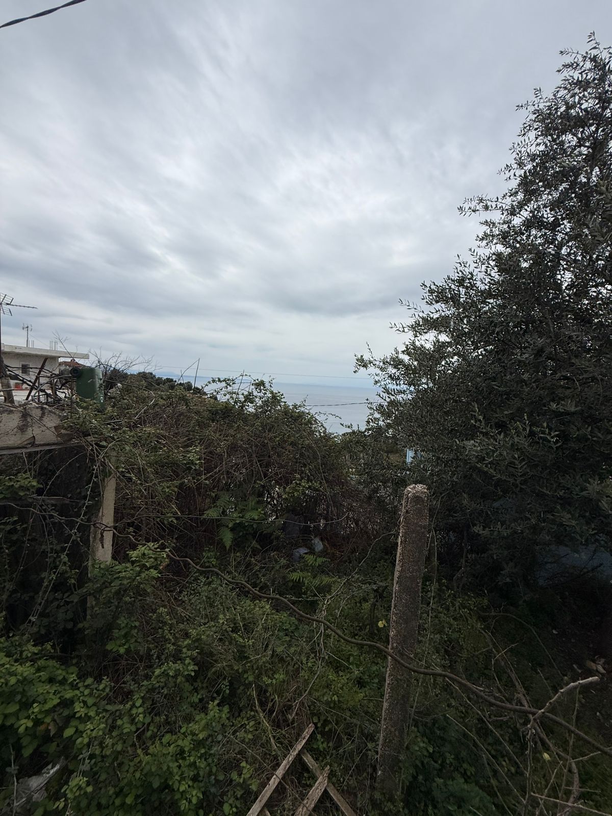 Rock haven (2)