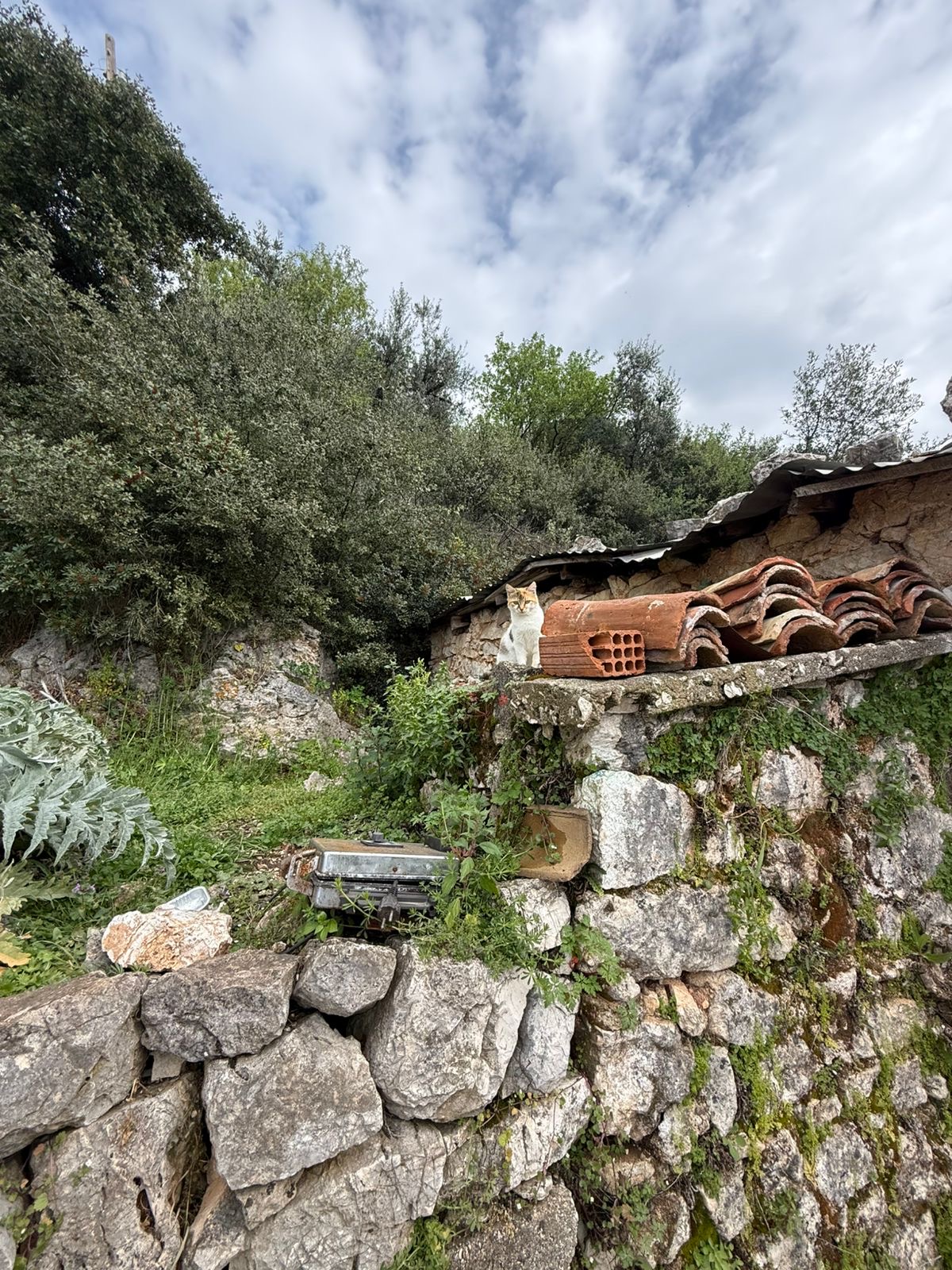 Himara investment (2)