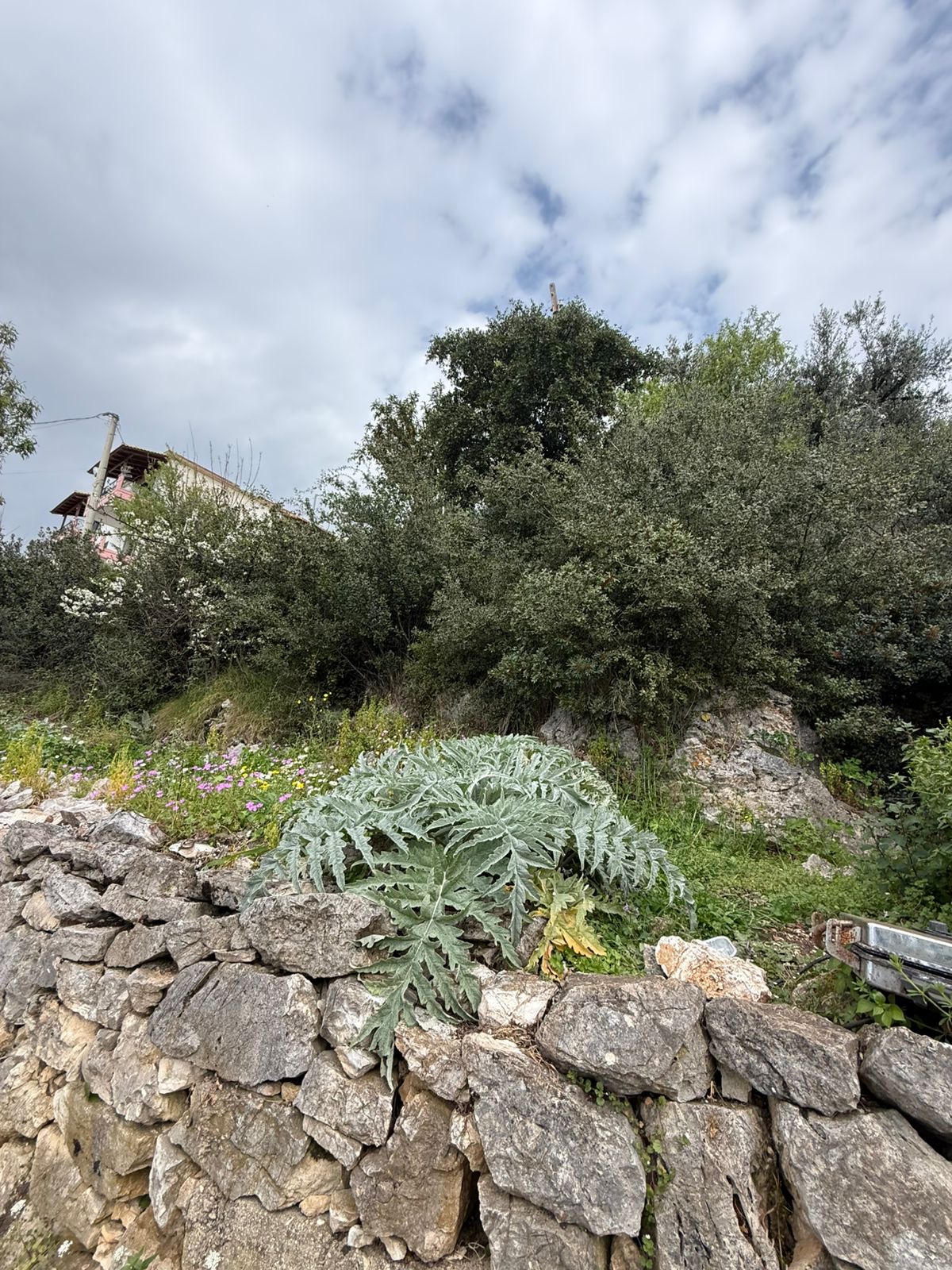 Himara investment (3)